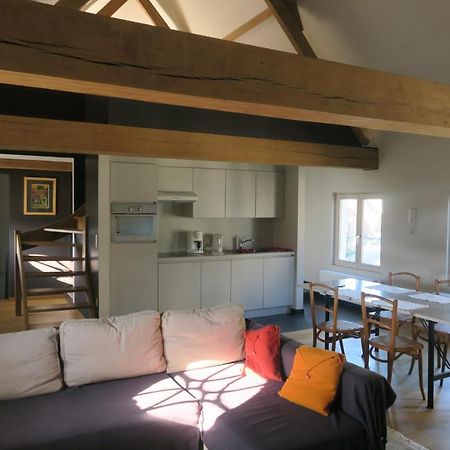 B&B / Studio De Druivelaar In Hartje Kluisbergen Eksteriør billede